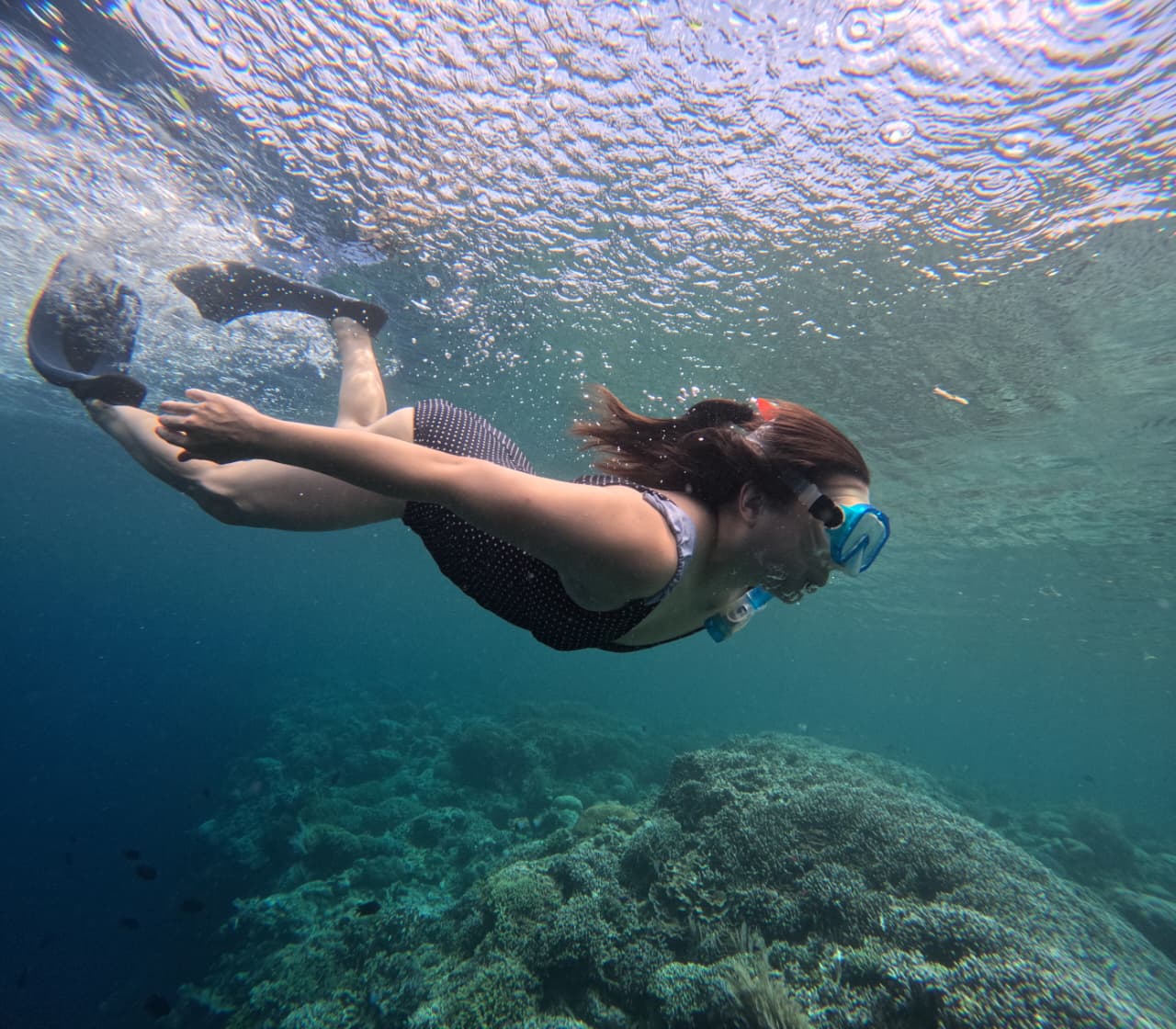 Vibrant coral reef snorkeling