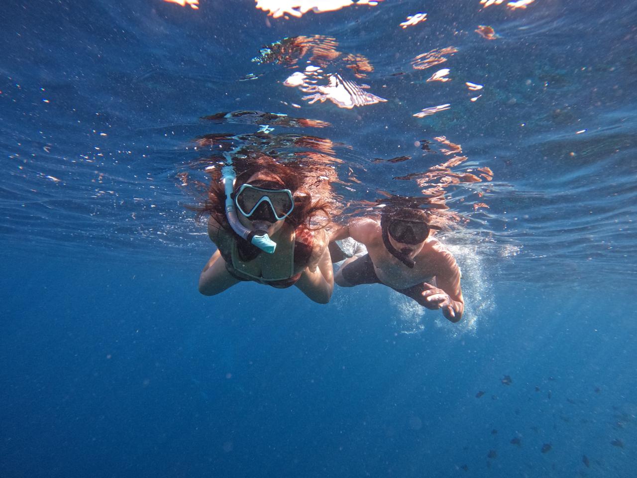 Dunia bawah laut Bunaken